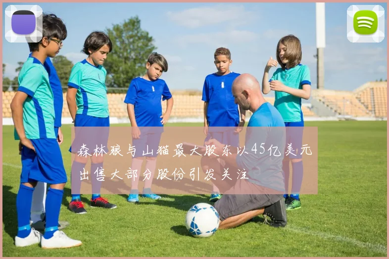 森林狼与山猫最大股东以45亿美元出售大部分股份引发关注