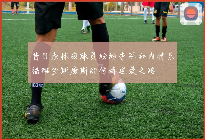 昔日森林狼球员纷纷夺冠加内特乐福维金斯唐斯的传奇逆袭之路